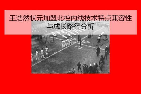 wang-hao-ran-zhuang-yuan-jia-meng-bei-kong-nei-xian-ji-shu-te-dian-jian-rong-xing-yu-cheng-zhang-lu-jing-fen-xi-2-619.jpg